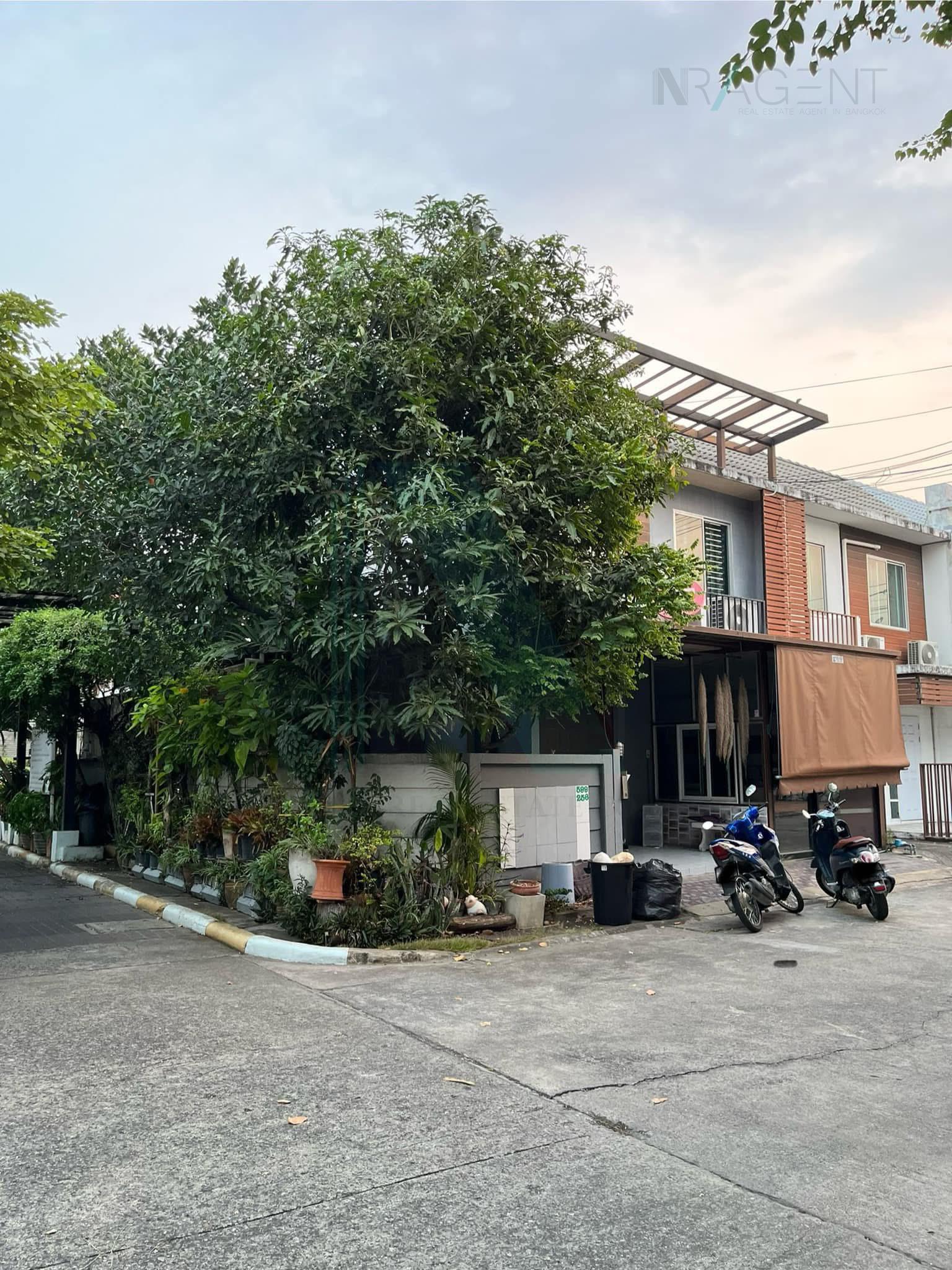 LivingInfo.io AgentsTerminal | ขายทาวน์เฮาส์ โครงการ AREEYA THE COLOR 1